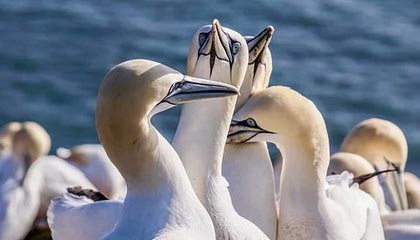 INE·区块链资讯 | 4月10号 星期三